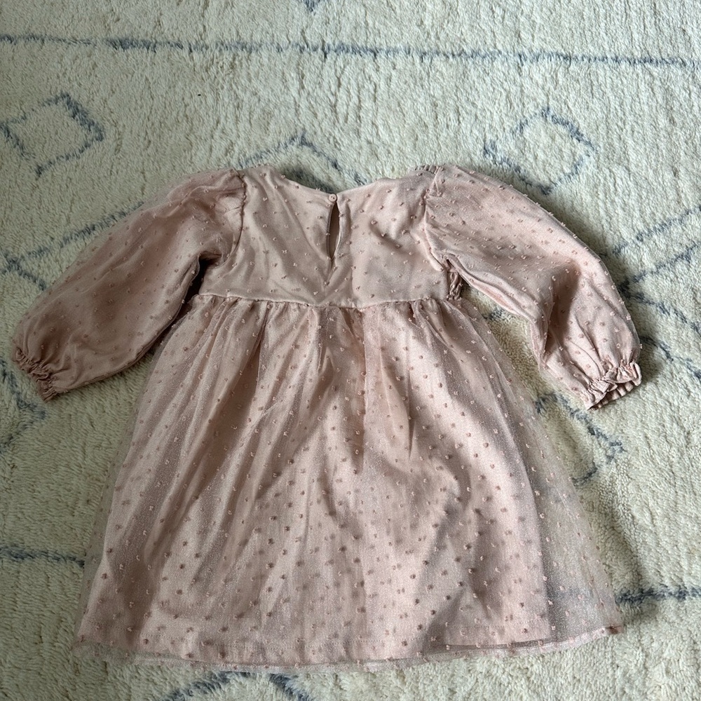 Zara Blush Textured Dress - Picture 3 of 3